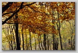 I Colori dell'autunno in Abruzzo