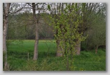 Le fioriture di primavera; fiore piante e colori d'Abruzzo