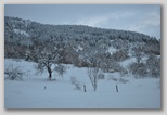 La nevicata del 3 febbraio 2012: le foto scattate domenica a L'Aquila e dintorni. La zona di Scoppito sotto il Monte Calvo.