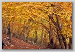 I Colori dell'autunno in Abruzzo