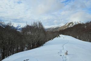 I Piani di Pezza