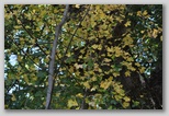 I Colori dell'autunno in Abruzzo