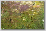 I Colori dell'autunno in Abruzzo