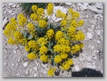 Immagini dall'Abruzzo in estate