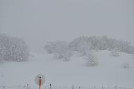 Campo Felice sotto una fitta nevicata