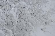 Campo Felice sotto una fitta nevicata
