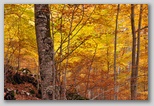 I Colori dell'autunno in Abruzzo
