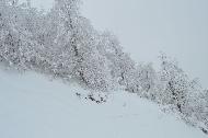 Campo Felice sotto una fitta nevicata