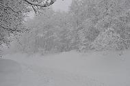 Campo Felice sotto una fitta nevicata