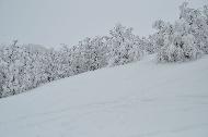 Campo Felice sotto una fitta nevicata