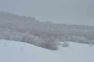 Campo Felice sotto una fitta nevicata