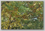 I Colori dell'autunno in Abruzzo