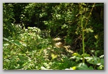 Pietracamela during the summer season. A walk towards Prati di Tivo from 950 to 1450 meters.