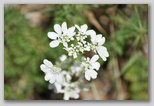 Immagini dall'Abruzzo in estate