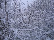 Fotografia a cura di Alessandro Ludovici