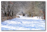 La Camosciara cerca de Civitella Alfedena