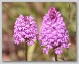 Immagini dall'Abruzzo in estate