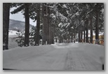 La nevicata del 3 febbraio 2012: le foto scattate domenica a L'Aquila e dintorni. Sella di Corno.