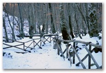 The Camosciara near Civitella Alfedena