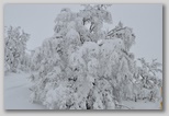 I colori dell'inverno in Abruzzo: la regione più innevata d'Italia
