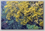 I Colori dell'autunno in Abruzzo