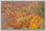 I Colori dell'autunno in Abruzzo