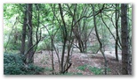 Les Gorges de Celano