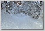 La nevicata del 3 febbraio 2012: le foto scattate domenica a L'Aquila e dintorni. La zona di Scoppito sotto il Monte Calvo.