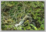 Pietracamela pendant la saison estivale. Une promenade vers les Prati di Tivo de 950 à 1450 mètres d’altitude.