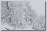 I colori dell'inverno in Abruzzo: la regione più innevata d'Italia