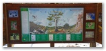 La Camosciara cerca de Civitella Alfedena