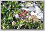 I Colori dell'estate in Abruzzo