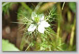 Da Scoppito, ai piedi del Monte Calvo.