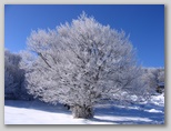 I colori dell'inverno in Abruzzo: la regione più innevata d'Italia