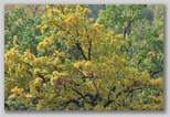 I Colori dell'autunno in Abruzzo
