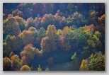 I Colori dell'autunno in Abruzzo