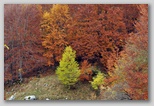 I Colori dell'autunno in Abruzzo