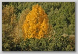 I Colori dell'autunno in Abruzzo