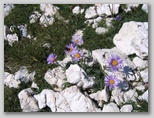 Immagini dall'Abruzzo in estate