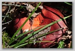 I colori dell'autunno in Abruzzo