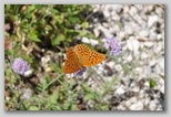 I Colori dell'estate in Abruzzo