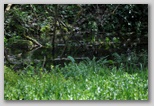 Le fioriture di primavera; fiore piante e colori d'Abruzzo