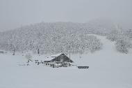 Campo Felice sotto una fitta nevicata