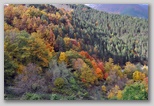 Civitella Alfedena un magico paesino nel Parco Nazionale d'Abruzzo, Lazio e Molise