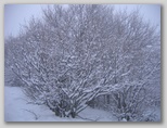 I colori dell'inverno in Abruzzo: la regione più innevata d'Italia