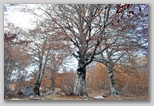 I Colori dell'autunno in Abruzzo