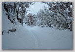 La nevicata del 3 febbraio 2012: le foto scattate domenica a L'Aquila e dintorni. La zona di Scoppito sotto il Monte Calvo.