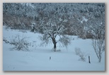 La nevicata del 3 febbraio 2012: le foto scattate domenica a L'Aquila e dintorni. La zona di Scoppito sotto il Monte Calvo.
