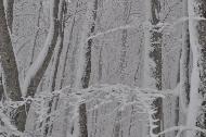 Campo Felice sotto una fitta nevicata