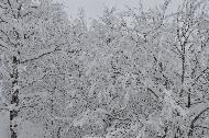 Campo Felice sotto una fitta nevicata